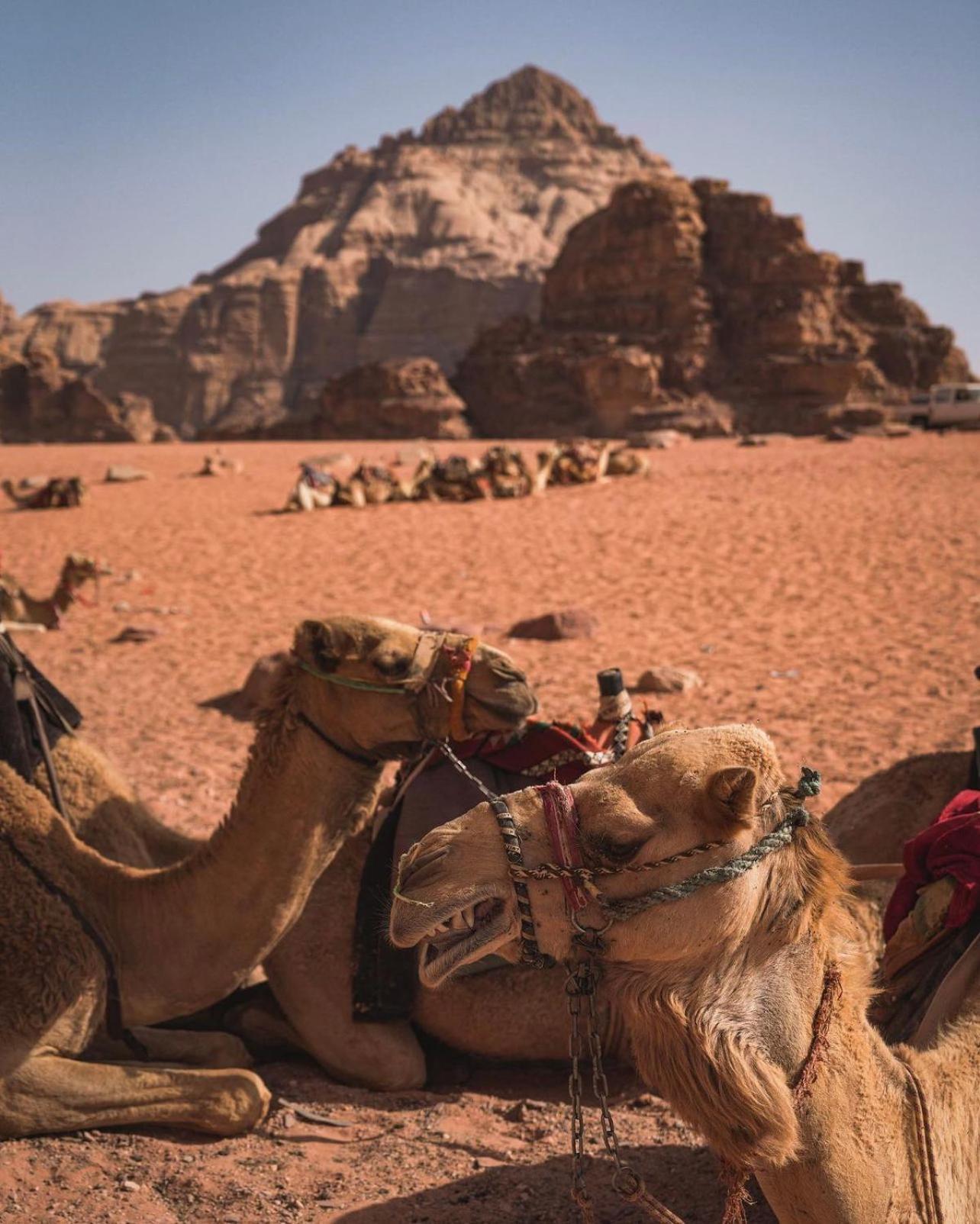 Rum Magic Luxury Camp Wadi Rum Eksteriør billede