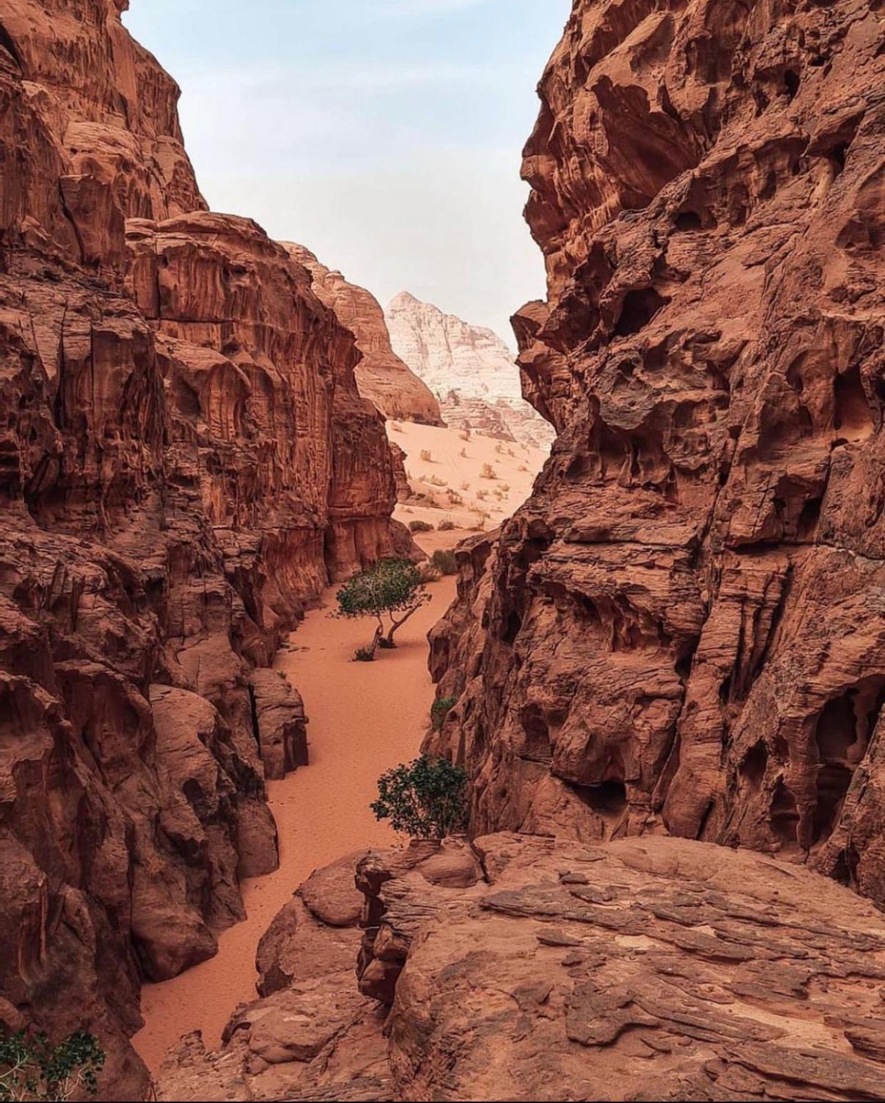 Rum Magic Luxury Camp Wadi Rum Eksteriør billede
